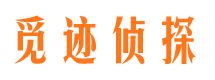 上犹市调查公司